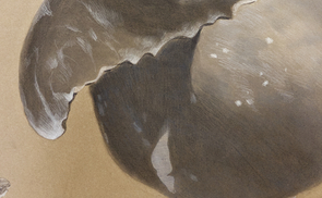 Vernissage 'Ways of a whale' von Katharina Biser