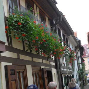 Pfarre Gramastetten