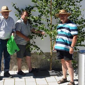17.-18. juni: Birkenaktion: Ca. 300 Birken werden für Fronleichnam geschnitten und aufgestellt