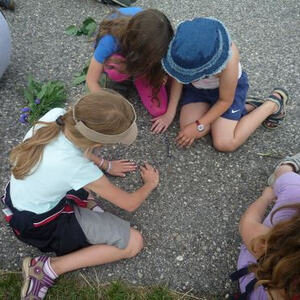 Wanderung der Minis