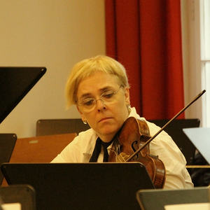 Farben der Violine...