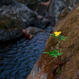 Schlucht