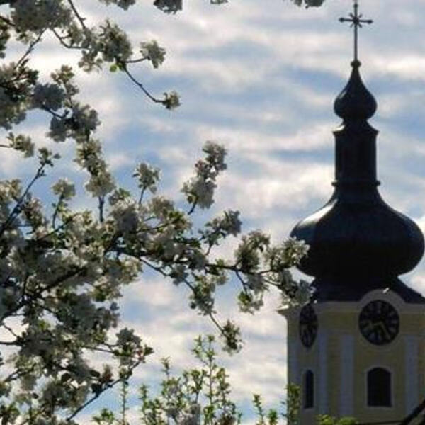 Die Kirche / © Pfarrgemeinde Leopoldschlag Die Kirche