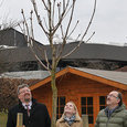Ein Kastanienbaum für den Pfarrcaritas-Kindergarten St. Marien / Thomas Markowetz, Pfarre St. Marien, Thomas Markowetz Ein Kastanienbaum für den Pfarrcaritas-Kindergarten St. Marien