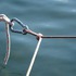 Karabiner als Zeichen für eine Bergmesse